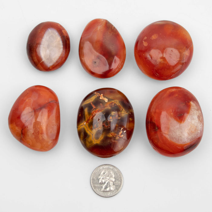 Carnelian - Palms, Dark