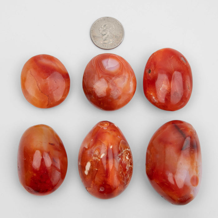 Carnelian - Palms, Light