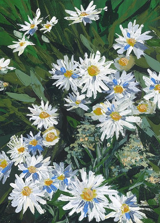 Daisies Greeting Card