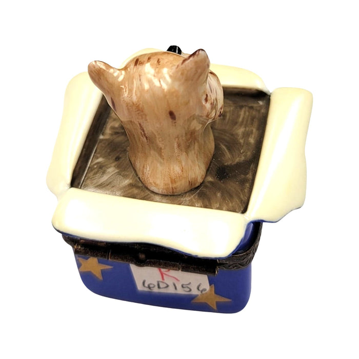 Dog Gift Delight Limoges Box Porcelain Limoges dog dogs limoge box French Trinket Box