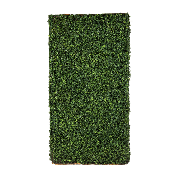 Indoor Boxwood Wall