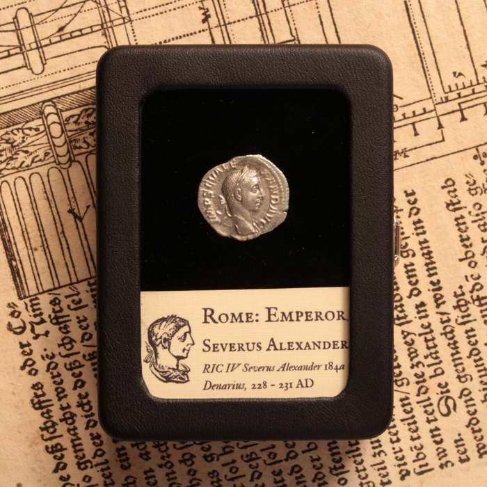 Rome, Emperor Severus Alexander, Denarius, Abundantia Reverse - 228 to 231 CE - Roman Empire