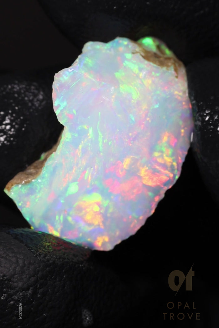 1.83g Rough Ethiopian Chalk Opal
