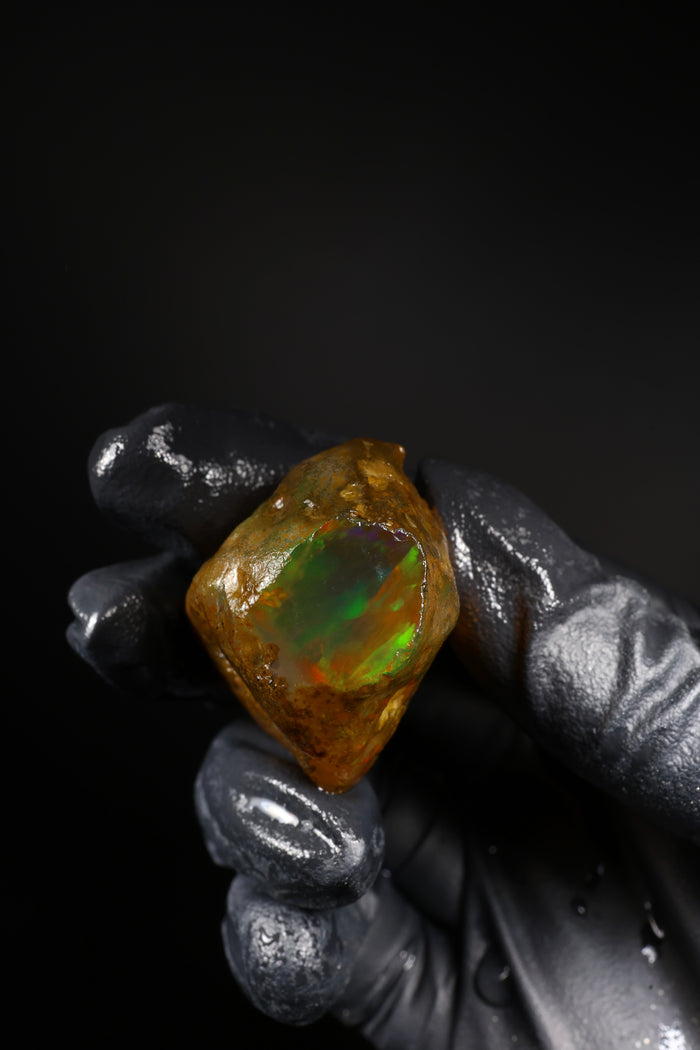 19.21g Rough Ethiopian Welo Specimen Opal