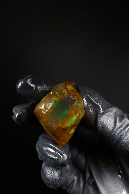 19.21g Rough Ethiopian Welo Specimen Opal