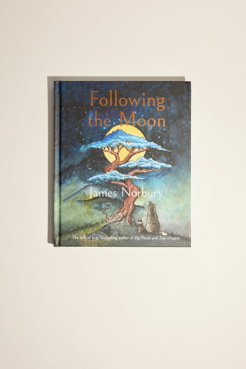 Following The Moon Book