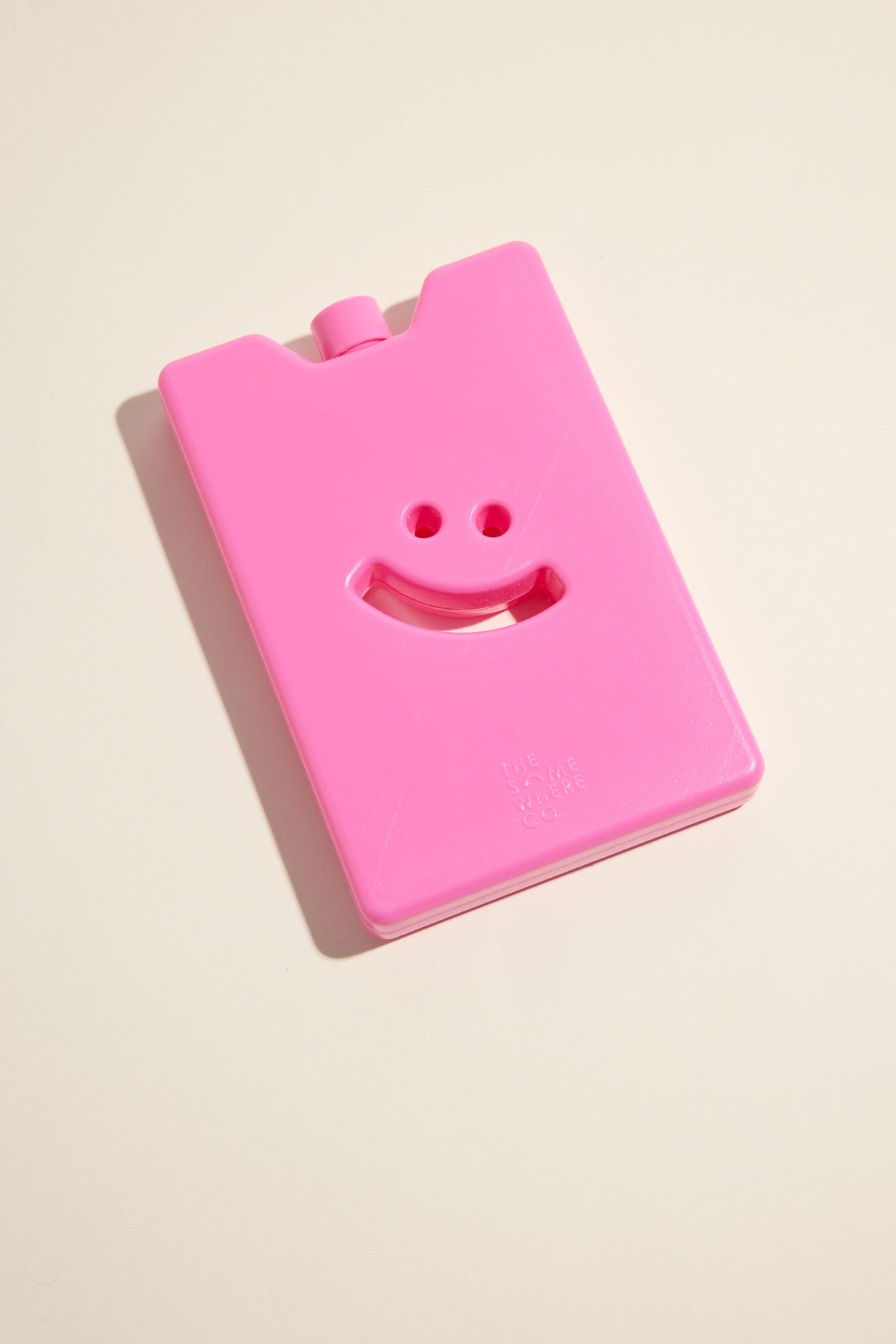 The Somewhere Co Ice Brick