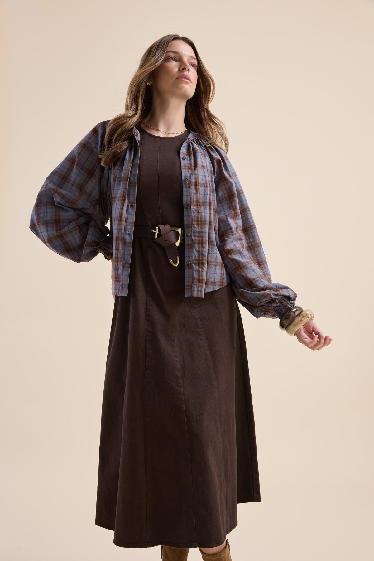 Sia Denim Dress