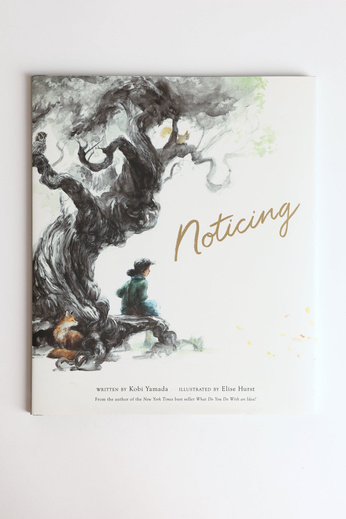 Noticing Book