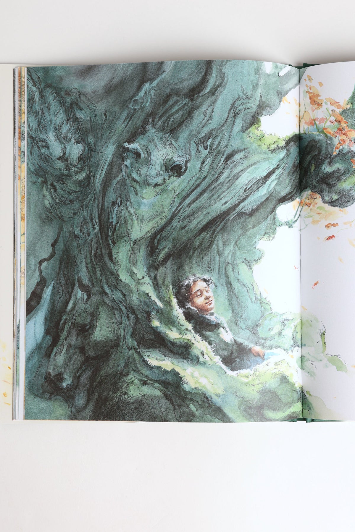 Noticing Book