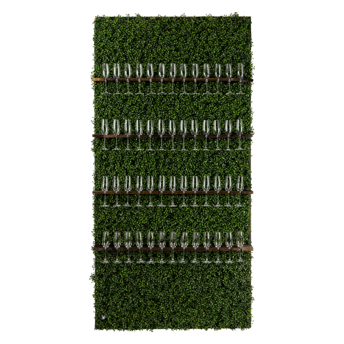 Boxwood Champagne Wall