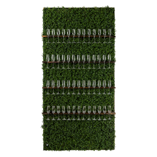 Boxwood Champagne Wall