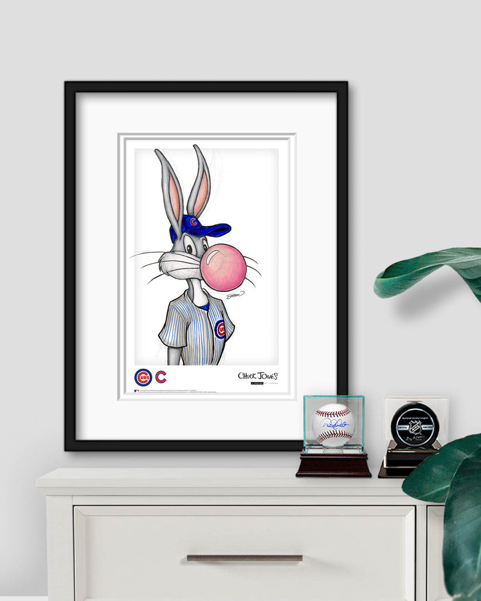 Poster Print / Framed