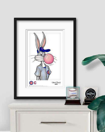 Poster Print / Framed