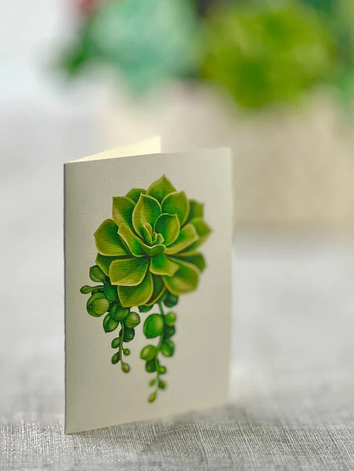 Cactus Garden Pop-Up Botanicals