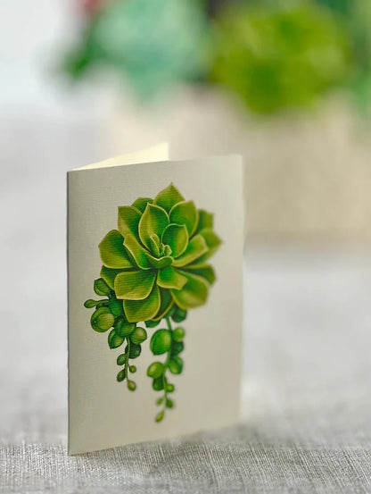 Cactus Garden Pop-Up Botanicals