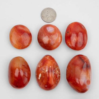 Carnelian - Palms, Light
