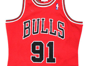 Chicago Bulls Dennis Rodman #91 Mitchell & Ness Swingman Jersey