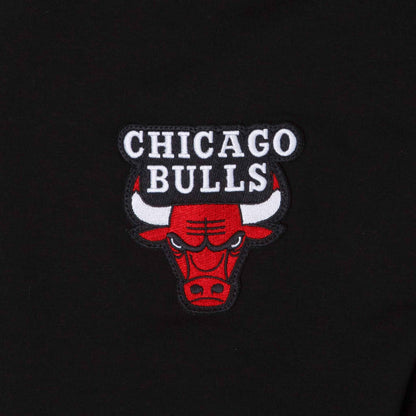 Chicago Bulls Logo Select All Star Game Hooded Sweatshirt