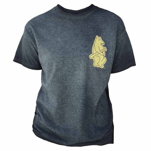 Chicago Cubs 1914 Bear Oil Washed T-Shirt