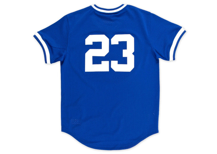 Chicago Cubs #23 Ryne Sandberg Mitchell & Ness 1984 Authentic Mesh BP Jersey