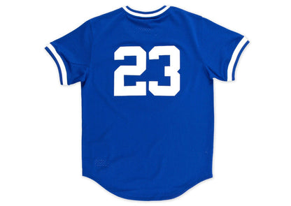 Chicago Cubs #23 Ryne Sandberg Mitchell & Ness 1984 Authentic Mesh BP Jersey
