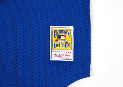 Chicago Cubs #23 Ryne Sandberg Mitchell & Ness 1984 Authentic Mesh BP Jersey