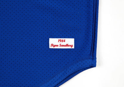 Chicago Cubs #23 Ryne Sandberg Mitchell & Ness 1984 Authentic Mesh BP Jersey