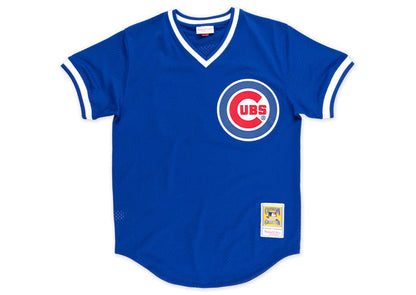 Chicago Cubs #23 Ryne Sandberg Mitchell & Ness 1984 Authentic Mesh BP Jersey
