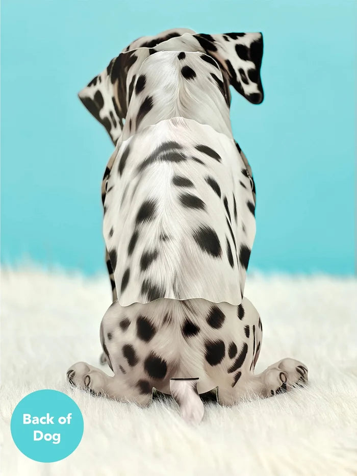 Dalmatian Pop-Up Pet Card