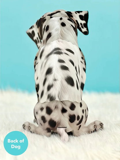 Dalmatian Pop-Up Pet Card