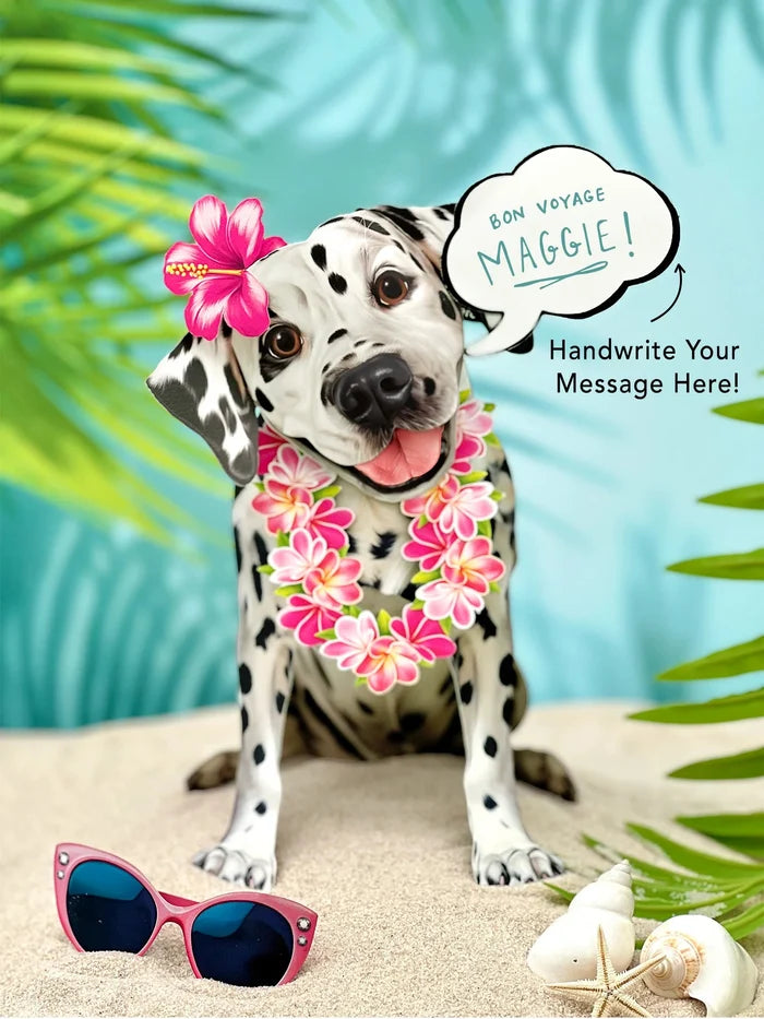Dalmatian Pop-Up Pet Card