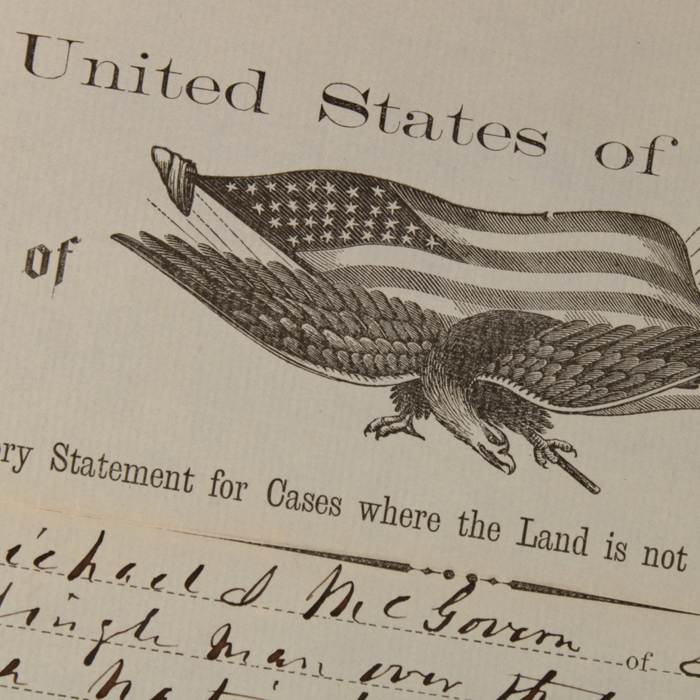 Declaratory Statement Form #1 (For Land Settlement) - 1863