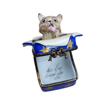 Dog Gift Delight Limoges Box Porcelain Limoges dog dogs limoge box French Trinket Box