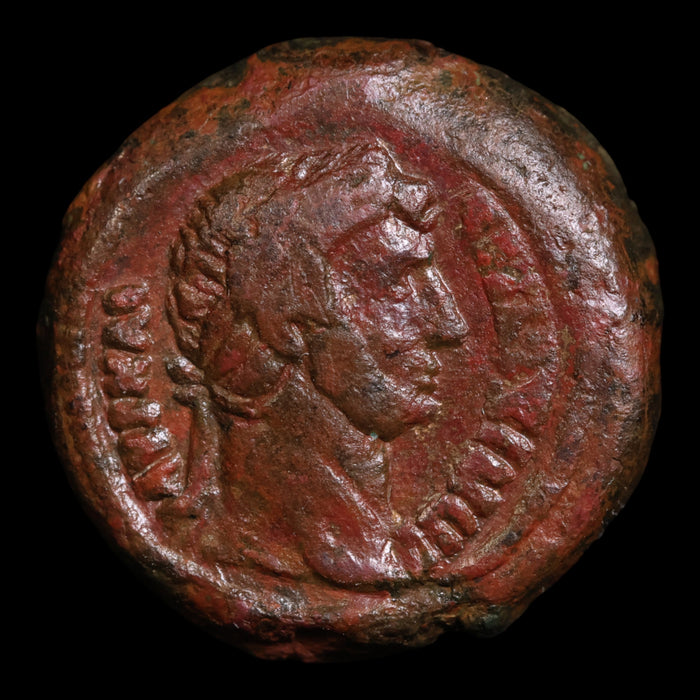 Egypt, Emperor Hadrian, AE Unit, Two Cornucopias Reverse - 126 to 127 CE - Roman Provinces