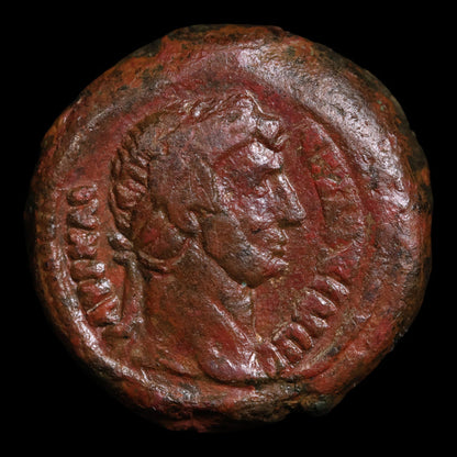 Egypt, Emperor Hadrian, AE Unit, Two Cornucopias Reverse - 126 to 127 CE - Roman Provinces