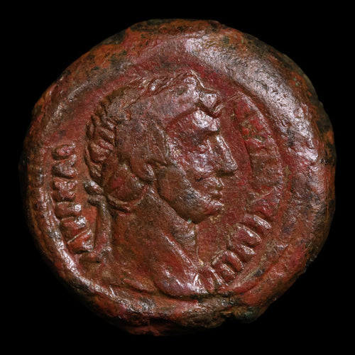 Egypt, Emperor Hadrian, AE Unit, Two Cornucopias Reverse - 126 to 127 CE - Roman Provinces