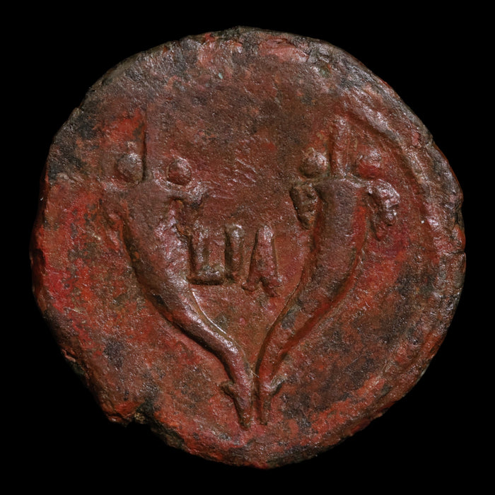 Egypt, Emperor Hadrian, AE Unit, Two Cornucopias Reverse - 126 to 127 CE - Roman Provinces
