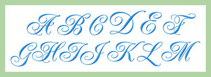 Elegant Script - Extra Large 4 and 6 Inch Sizes