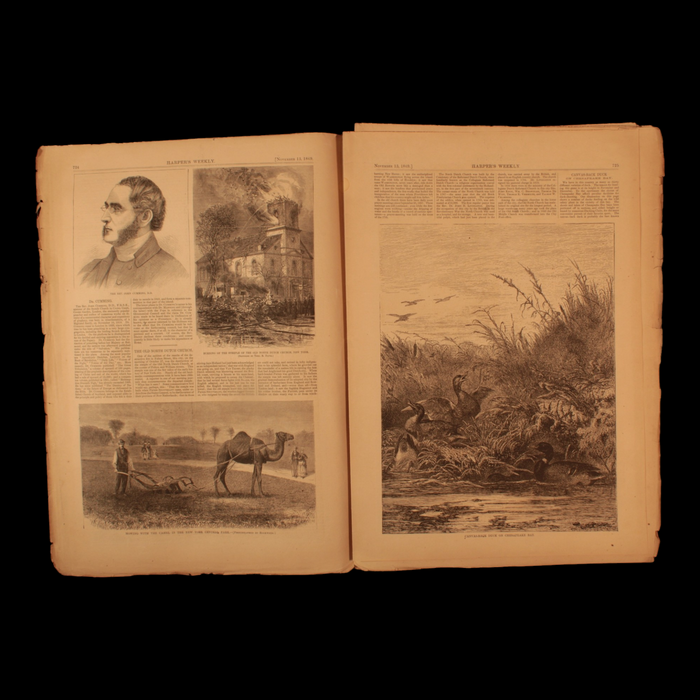 Harper's Weekly — Nov. 13th, 1869