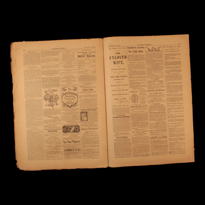 Harper's Weekly — Nov. 13th, 1869