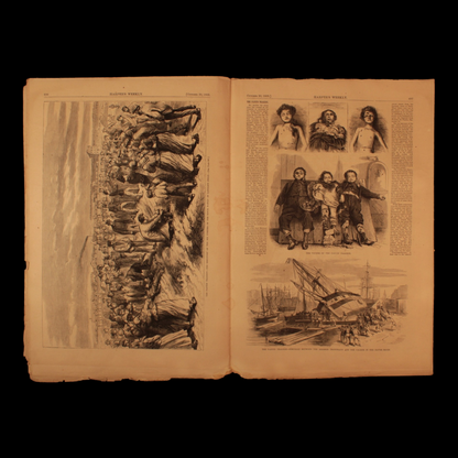 Harper's Weekly — Oct. 30th, 1869