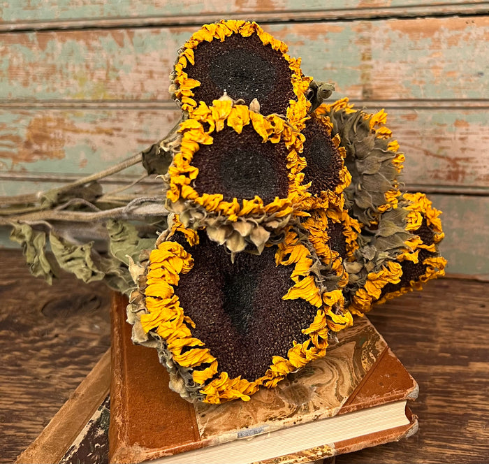 NET-SUN Dried Sunflowers Bunch