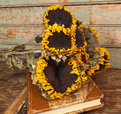 NET-SUN Dried Sunflowers Bunch