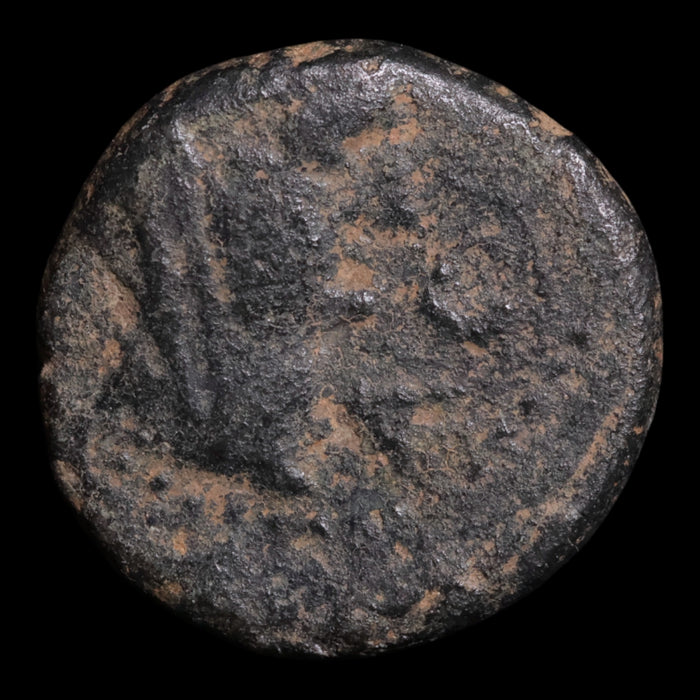 Judea, City of Ascalon, AE Unit, Tyche & War Galley - 94 to 95 CE - Ancient Judea