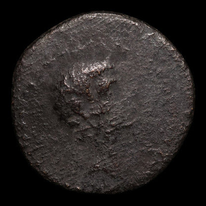 Lydia, City of Tralles, Augustus (First Roman Emperor), AE Unit - 31 BCE to 14 CE - Roman Provinces