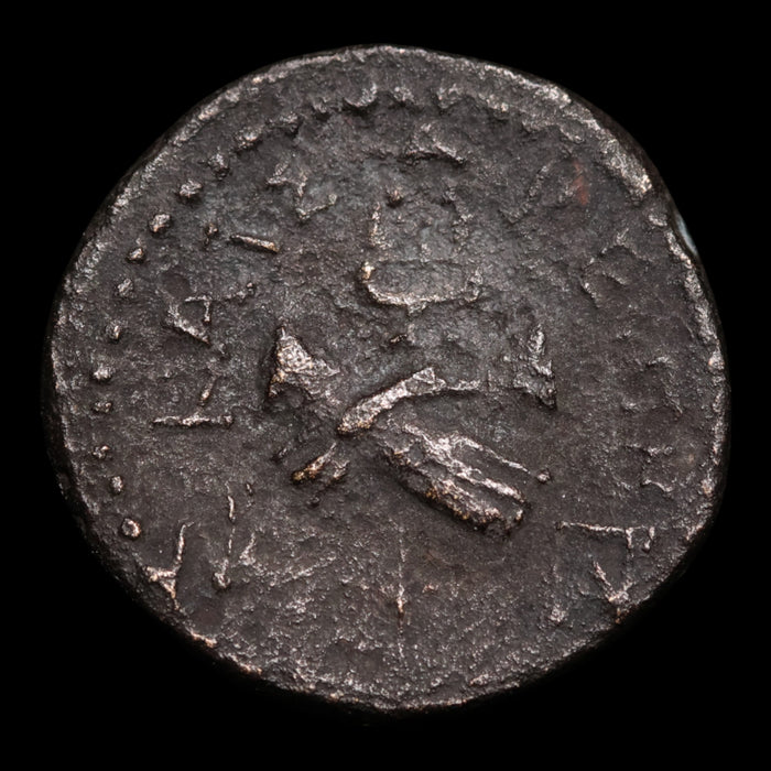 Lydia, City of Tralles, Augustus (First Roman Emperor), AE Unit - 31 BCE to 14 CE - Roman Provinces