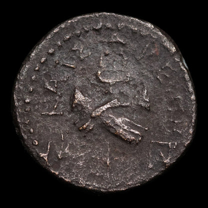 Lydia, City of Tralles, Augustus (First Roman Emperor), AE Unit - 31 BCE to 14 CE - Roman Provinces