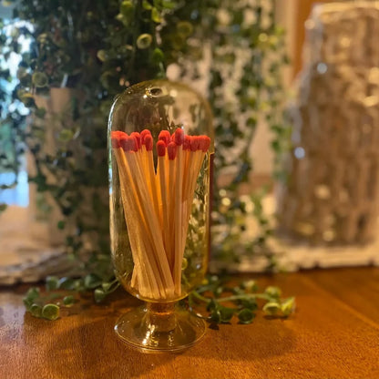 Modern Glass Match Cloche