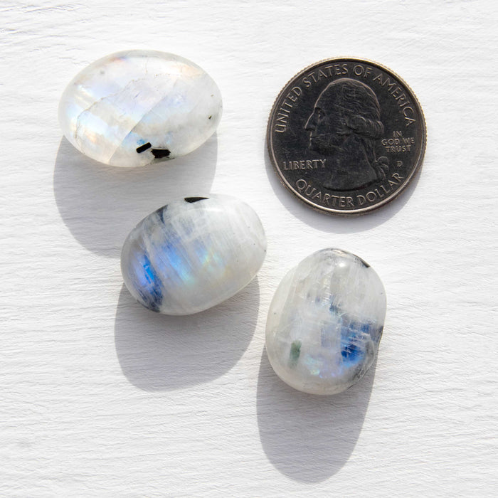Moonstone - Rainbow, A Grade, Blue Flash, Tumbled Stone(s)